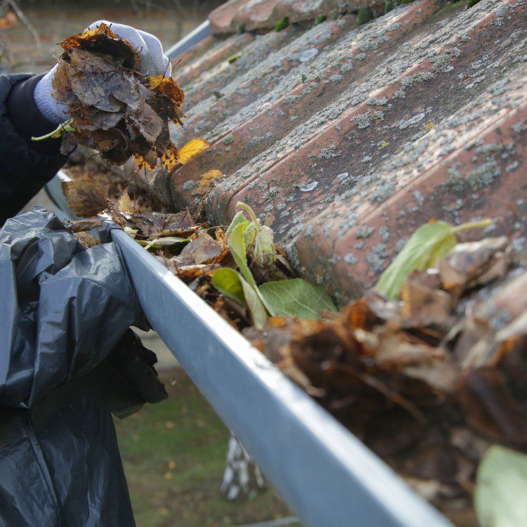 Exterior Services in Smyrna, GA