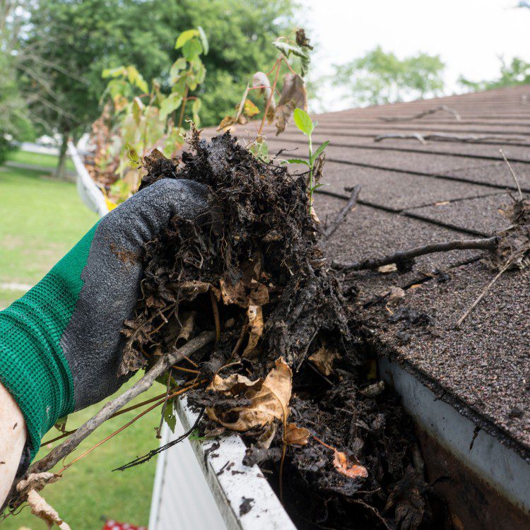 Exterior Services in Smyrna, GA