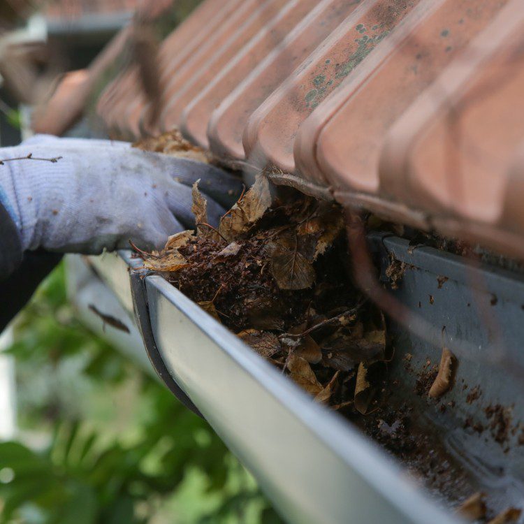 Exterior Services in Smyrna, GA