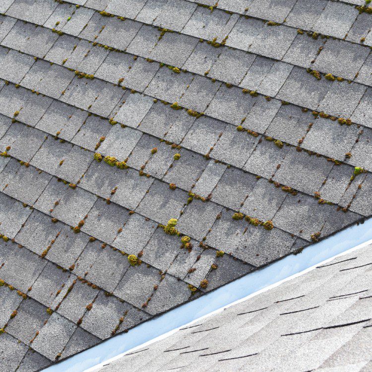 Exterior Services in Smyrna, GA
